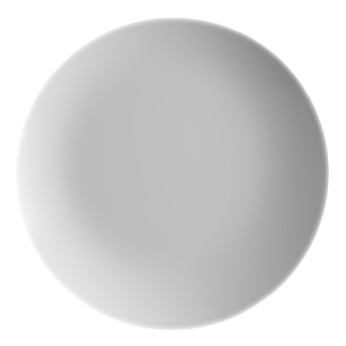 Bovenaanzicht van wit porseleinen bord Isabelle 30 cm met gladde afwerking en brede vlakke vorm.