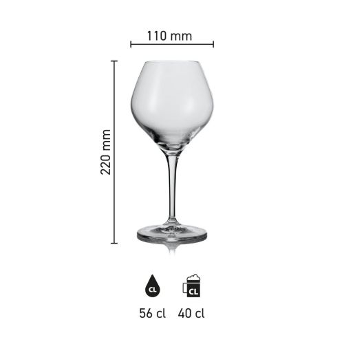 Infographic toont hoogte en diameter van het Amoron bierglas 56 cl. met maatinhouden. Infographic toont hoogte en diameter van het Amoron bierglas 56 cl. met maatinhouden.