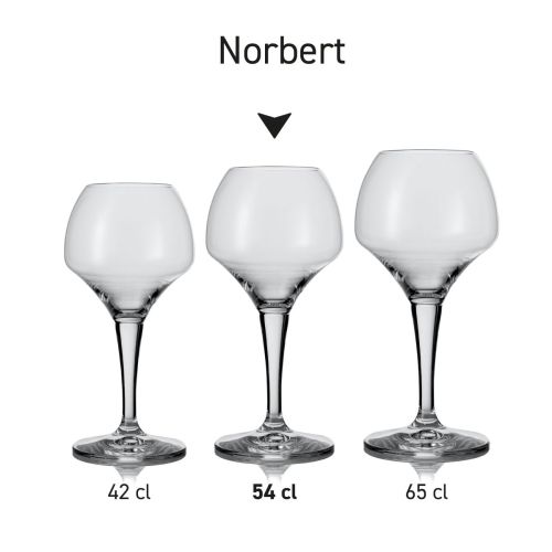 Series of beer glasses Norbert presented side by side with different capacity sizes