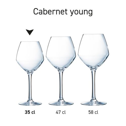 Overview of several Cabernet young wine glasses as a series presented in a row. Overview of several Cabernet young wine glasses as a series presented in a row.