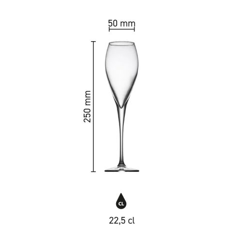 Infographic met maataanduidingen van de Monte Carlo champagneflute 22,5 cl in glas. Infographic met maataanduidingen van de Monte Carlo champagneflute 22,5 cl in glas.