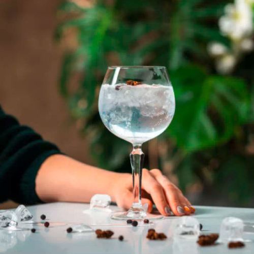 Gin tonicglas Spksy 58 cl glas in gebruik, vastgehouden of geserveerd in een horecasetting