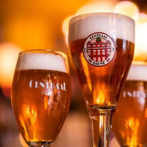 Harzer Pokal 30 cl tapmaat glas met logo gevuld in een horeca-sfeeromgeving