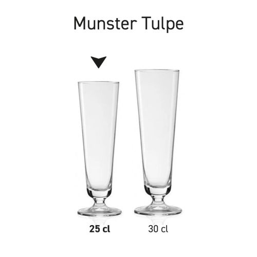 Munster Tulpe 25 cl tapmaat glas in serie, meerdere exemplaren naast elkaar getoond