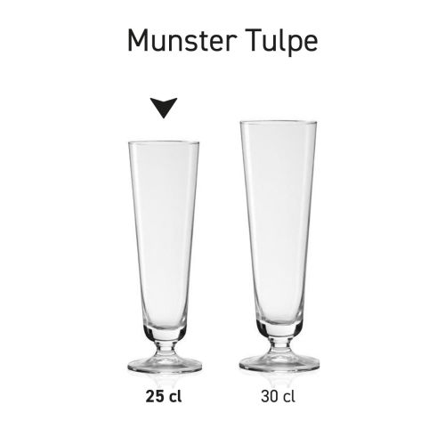 Munster Tulpe 30 cl tapmaat glas in serie, meerdere exemplaren naast elkaar getoond