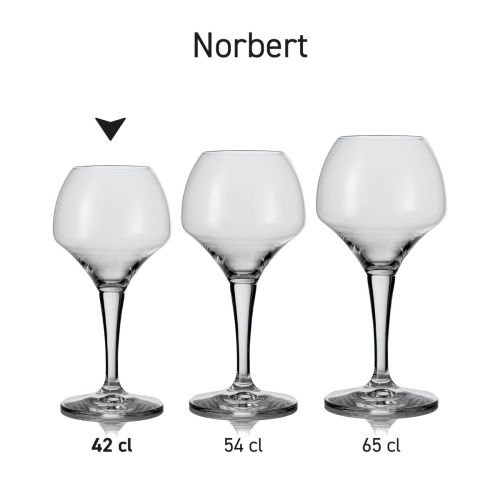 Overview of Norbert beer glasses as a series, presented side by side in variations.
