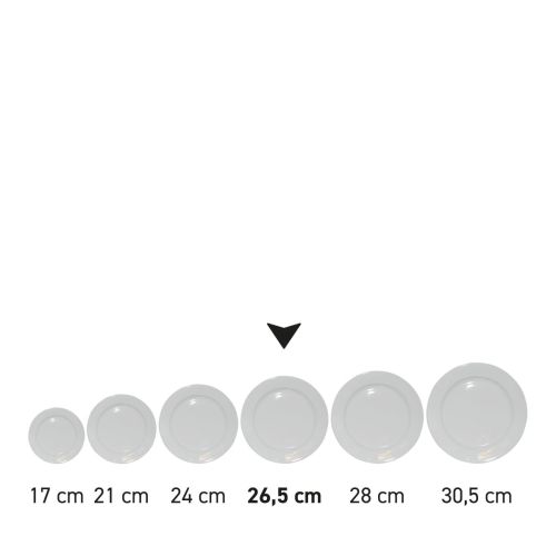 Bord brede rand wit 26,5 cm. bedrukken