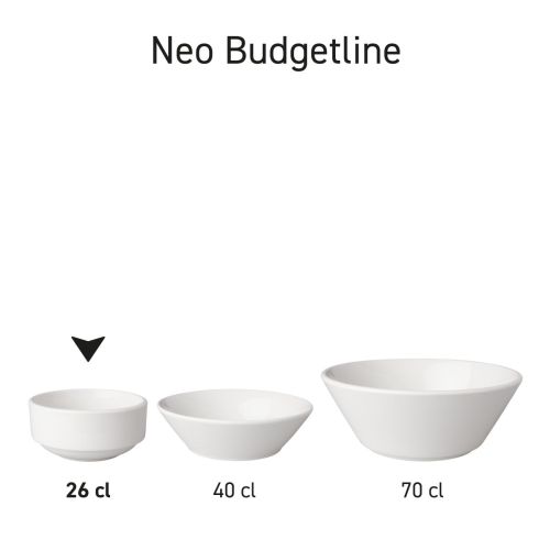 Overview of porcelain bowls Budgetline in series, white model in various positions. Overview of porcelain bowls Budgetline in series, white model in various positions.