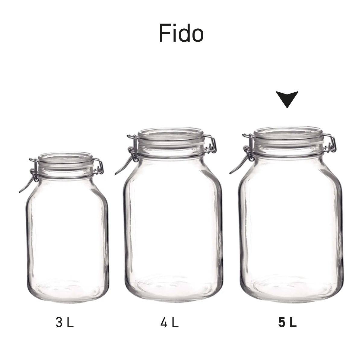 Series of Weck jars Fido presented side by side as an overview.